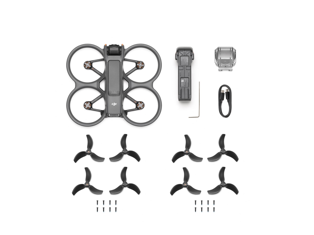 DJI Avata 2 (nur Drohne)