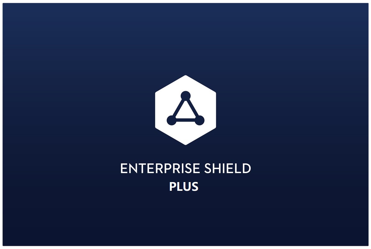 DJI Zenmuse P1 | DJI Care Enterprise Plus - Versicherung