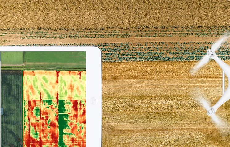 Landwirtschaft und Forst